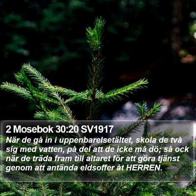 2 Mosebok 30:20 SV1917 Bible Verse Image
