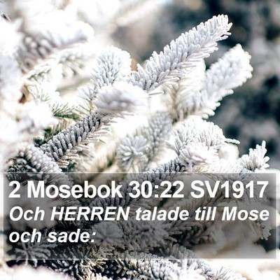 2 Mosebok 30:22 SV1917 Bible Verse Image