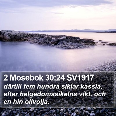 2 Mosebok 30:24 SV1917 Bible Verse Image