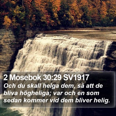2 Mosebok 30:29 SV1917 Bible Verse Image