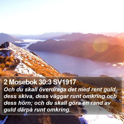 2 Mosebok 30:3 SV1917 Bible Verse Image