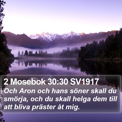 2 Mosebok 30:30 SV1917 Bible Verse Image