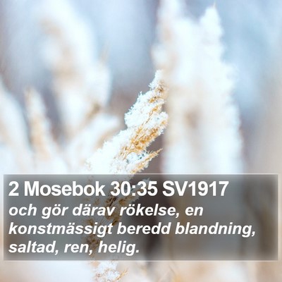 2 Mosebok 30:35 SV1917 Bible Verse Image