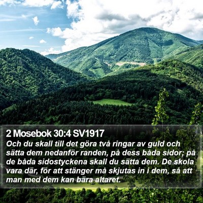 2 Mosebok 30:4 SV1917 Bible Verse Image