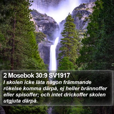 2 Mosebok 30:9 SV1917 Bible Verse Image