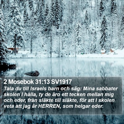 2 Mosebok 31:13 SV1917 Bible Verse Image