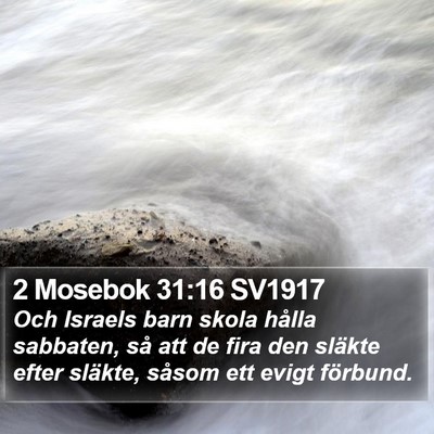 2 Mosebok 31:16 SV1917 Bible Verse Image