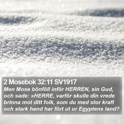 2 Mosebok 32:11 SV1917 Bible Verse Image