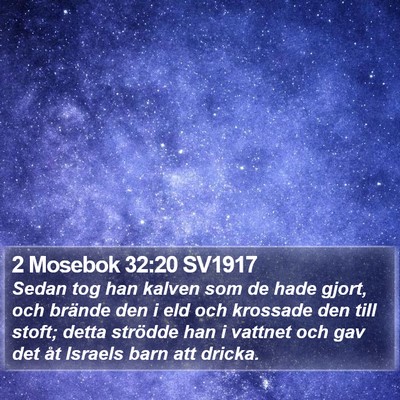 2 Mosebok 32:20 SV1917 Bible Verse Image