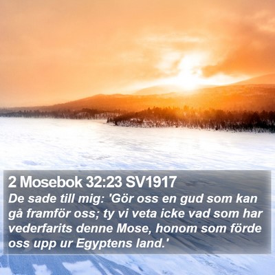 2 Mosebok 32:23 SV1917 Bible Verse Image