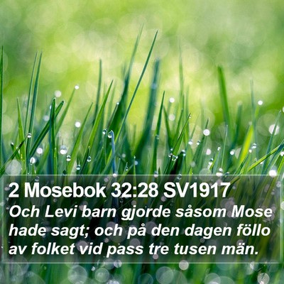 2 Mosebok 32:28 SV1917 Bible Verse Image