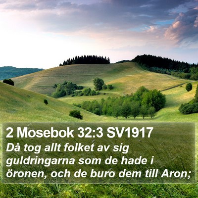 2 Mosebok 32:3 SV1917 Bible Verse Image