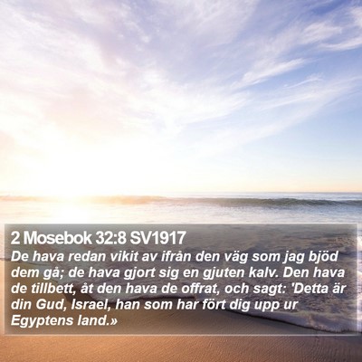 2 Mosebok 32:8 SV1917 Bible Verse Image