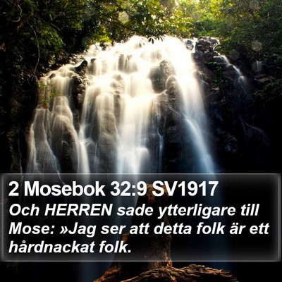 2 Mosebok 32:9 SV1917 Bible Verse Image