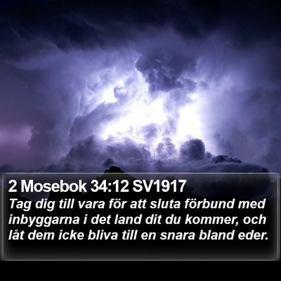 2 Mosebok 34:12 SV1917 Bible Verse Image