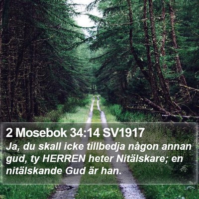 2 Mosebok 34:14 SV1917 Bible Verse Image