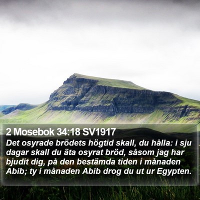 2 Mosebok 34:18 SV1917 Bible Verse Image