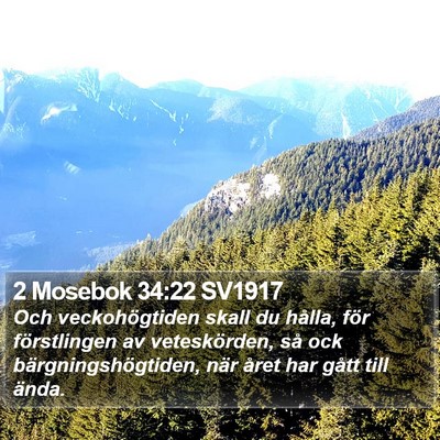 2 Mosebok 34:22 SV1917 Bible Verse Image