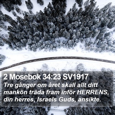 2 Mosebok 34:23 SV1917 Bible Verse Image