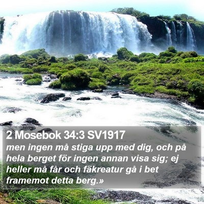2 Mosebok 34:3 SV1917 Bible Verse Image