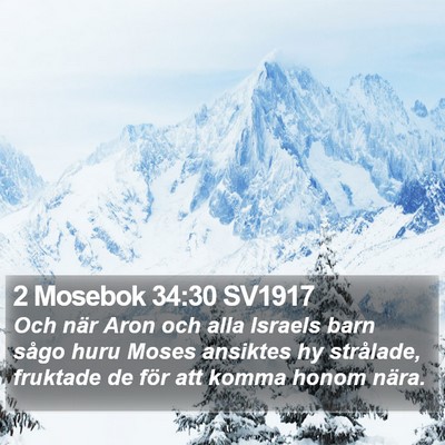 2 Mosebok 34:30 SV1917 Bible Verse Image