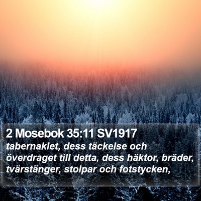 2 Mosebok 35:11 SV1917 Bible Verse Image