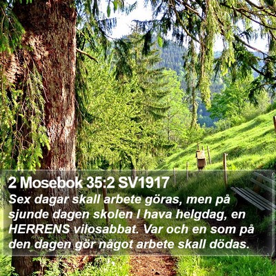 2 Mosebok 35:2 SV1917 Bible Verse Image