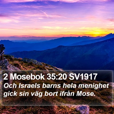 2 Mosebok 35:20 SV1917 Bible Verse Image
