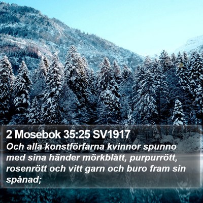 2 Mosebok 35:25 SV1917 Bible Verse Image