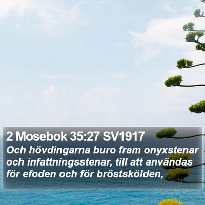 2 Mosebok 35:27 SV1917 Bible Verse Image