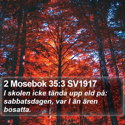 2 Mosebok 35:3 SV1917 Bible Verse Image