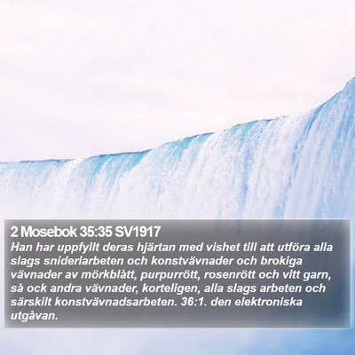 2 Mosebok 35:35 SV1917 Bible Verse Image