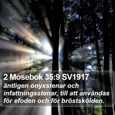 2 Mosebok 35:9 SV1917 Bible Verse Image