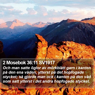 2 Mosebok 36:11 SV1917 Bible Verse Image