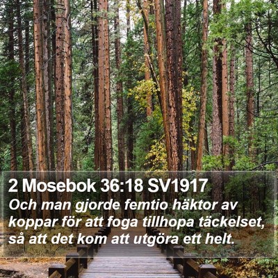 2 Mosebok 36:18 SV1917 Bible Verse Image