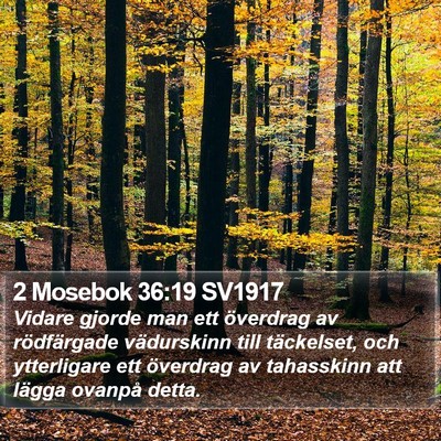 2 Mosebok 36:19 SV1917 Bible Verse Image