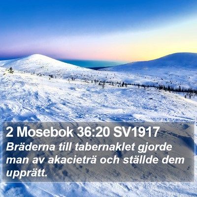 2 Mosebok 36:20 SV1917 Bible Verse Image