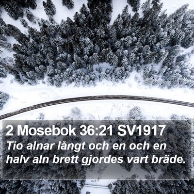 2 Mosebok 36:21 SV1917 Bible Verse Image