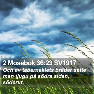 2 Mosebok 36:23 SV1917 Bible Verse Image
