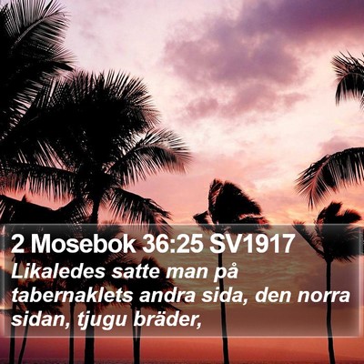 2 Mosebok 36:25 SV1917 Bible Verse Image