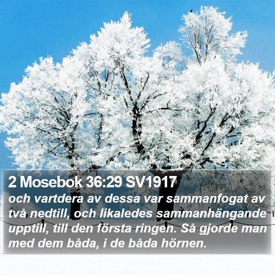 2 Mosebok 36:29 SV1917 Bible Verse Image