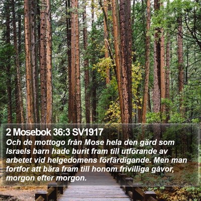2 Mosebok 36:3 SV1917 Bible Verse Image