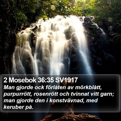 2 Mosebok 36:35 SV1917 Bible Verse Image