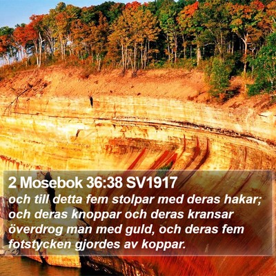 2 Mosebok 36:38 SV1917 Bible Verse Image