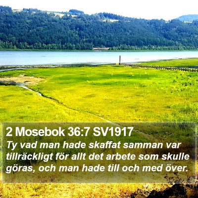 2 Mosebok 36:7 SV1917 Bible Verse Image