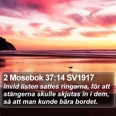 2 Mosebok 37:14 SV1917 Bible Verse Image