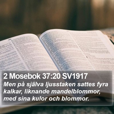 2 Mosebok 37:20 SV1917 Bible Verse Image