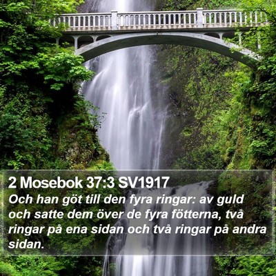 2 Mosebok 37:3 SV1917 Bible Verse Image