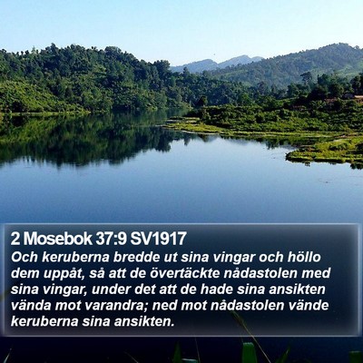 2 Mosebok 37:9 SV1917 Bible Verse Image