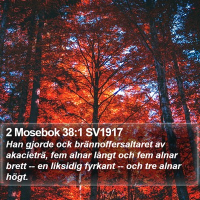 2 Mosebok 38:1 SV1917 Bible Verse Image